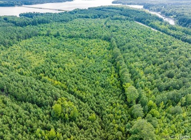 This property with available waterfront is Lake Gaston's best - photo 45