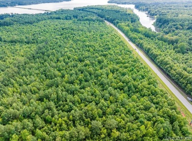 This property with available waterfront is Lake Gaston's best - photo 46