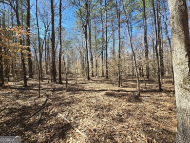 Lake Acreage For Sale in Covington, Georgia