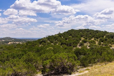 This 12.03-acre tract features a 75-foot elevation change - photo 5