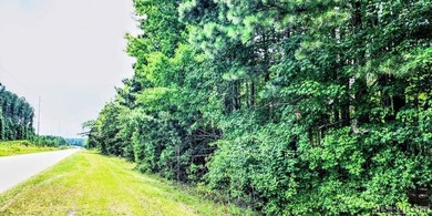Lake Gaston's prime location for new business development is in - photo 11