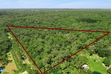 Discover the beauty of Old Florida with this unique 6.41-acre - photo 3