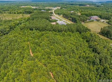 Lake Gaston's prime location for new business development is in - photo 13