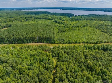 Lake Gaston's prime location for new business development is in - photo 14
