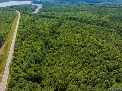 Lake Gaston's prime location for new business development is in - photo 18