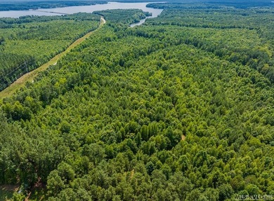 Lake Gaston's prime location for new business development is in - photo 19