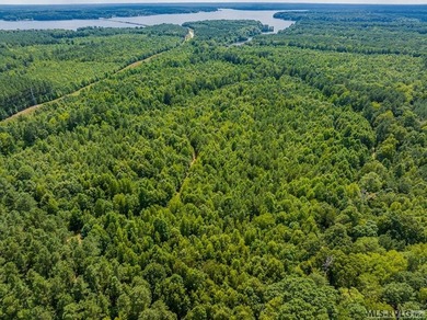 Lake Gaston's prime location for new business development is in - photo 20