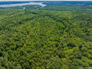 Lake Gaston's prime location for new business development is in - photo 21