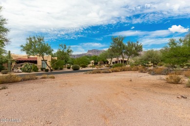 Rare opportunity to own .73 acres in the exclusive, gated - photo 22