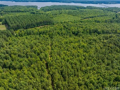 Lake Gaston's prime location for new business development is in - photo 22