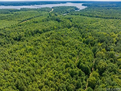 Lake Gaston's prime location for new business development is in - photo 23