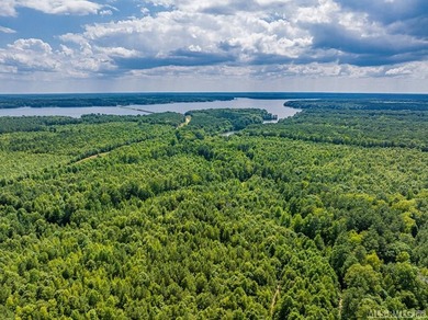 Lake Gaston's prime location for new business development is in - photo 25