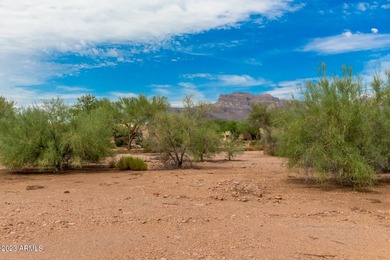 Rare opportunity to own .73 acres in the exclusive, gated - photo 26