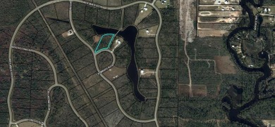 Lake Lot For Sale in Wewahitchka, Florida