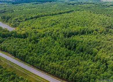 Lake Gaston's prime location for new business development is in - photo 31