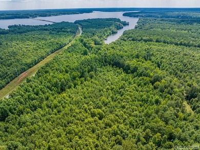 Lake Gaston's prime location for new business development is in - photo 32