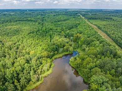 Lake Gaston's prime location for new business development is in - photo 35