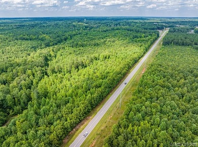 Lake Gaston's prime location for new business development is in - photo 40