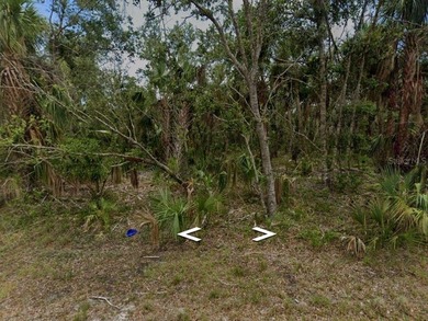 Port Charlotte Waterway Area Lot For Sale in Port Charlotte Florida