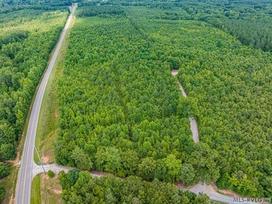 Lake Gaston's prime location for new business development is in - photo 41