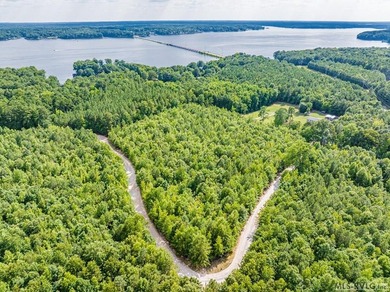 Lake Gaston's prime location for new business development is in - photo 48