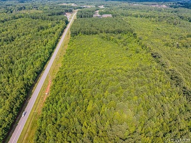 Lake Gaston's prime location for new business development is in - photo 51