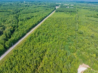 Lake Gaston's prime location for new business development is in - photo 52