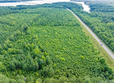Lake Gaston's prime location for new business development is in - photo 60