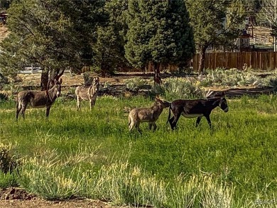 Eagle Ridge Ranch - A Rare 440-Acre Mountain Legacy This - photo 17
