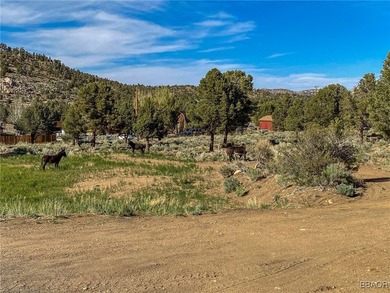 Eagle Ridge Ranch - A Rare 440-Acre Mountain Legacy This - photo 18