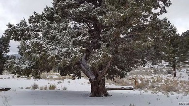 Eagle Ridge Ranch - A Rare 440-Acre Mountain Legacy This - photo 19