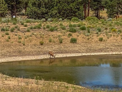 Eagle Ridge Ranch - A Rare 440-Acre Mountain Legacy This - photo 21
