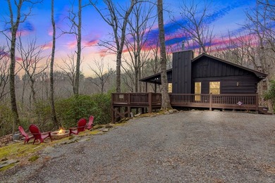 Lake Home For Sale in Blue Ridge, Georgia