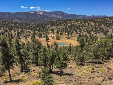 Eagle Ridge Ranch - A Rare 440-Acre Mountain Legacy This - photo 23