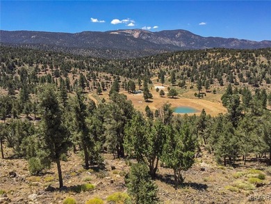 Eagle Ridge Ranch - A Rare 440-Acre Mountain Legacy This - photo 24