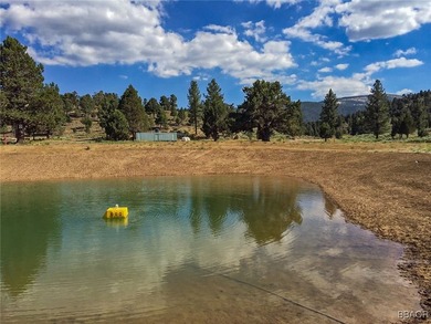 Eagle Ridge Ranch - A Rare 440-Acre Mountain Legacy This - photo 26