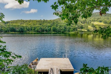 Tree House Cottage is a magical property overlooking Hosmer Pond - photo 29