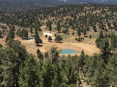 Eagle Ridge Ranch - A Rare 440-Acre Mountain Legacy This - photo 31