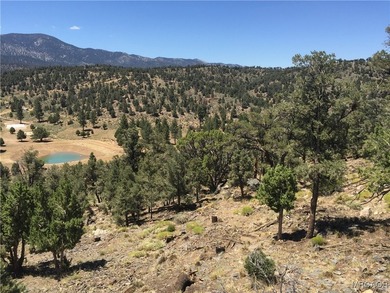 Eagle Ridge Ranch - A Rare 440-Acre Mountain Legacy This - photo 32