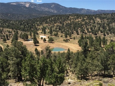 Eagle Ridge Ranch - A Rare 440-Acre Mountain Legacy This - photo 33
