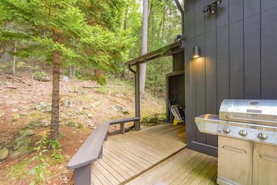 Tree House Cottage is a magical property overlooking Hosmer Pond - photo 33