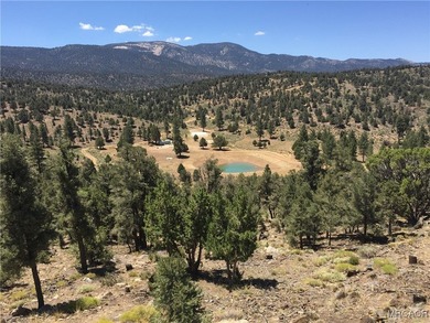 Eagle Ridge Ranch - A Rare 440-Acre Mountain Legacy This - photo 34