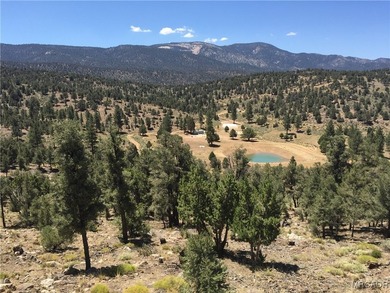 Eagle Ridge Ranch - A Rare 440-Acre Mountain Legacy This - photo 35