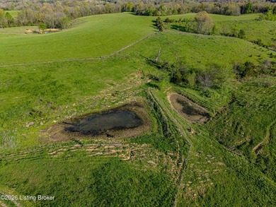 Exceptional 138-acre working farm offering the perfect - photo 43