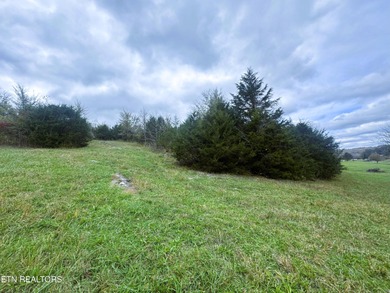 This beautiful 1.23 acre lot in the sought-after Sunset Bay - photo 4