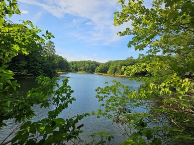 PRICED AT LESS THAN HALF OF THE COUNTY ASSESSMENT! Lakefront lot - photo 1
