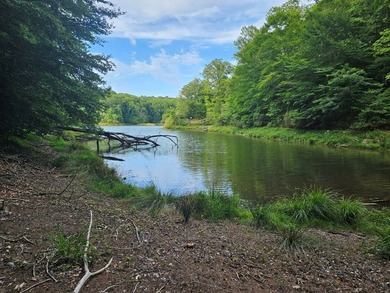 PRICED AT LESS THAN HALF OF THE COUNTY ASSESSMENT! Lakefront lot - photo 4