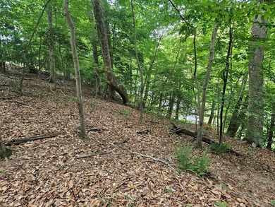 PRICED AT LESS THAN HALF OF THE COUNTY ASSESSMENT! Lakefront lot - photo 5