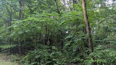 PRICED AT LESS THAN HALF OF THE COUNTY ASSESSMENT! Lakefront lot - photo 6