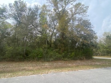 Lake Lot Sale Pending in Wewahitchka, Florida